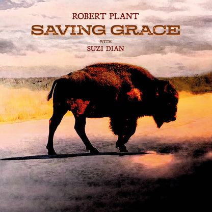 Saving Grace (140G Black Vinyl)